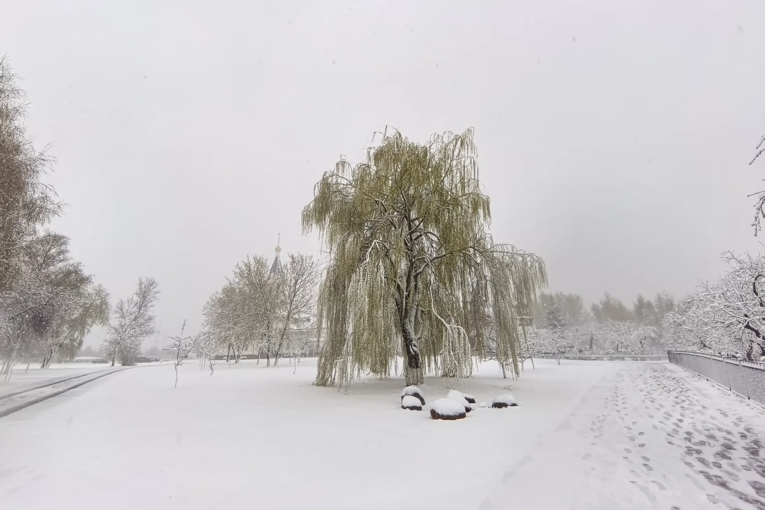 Сверхширокоугольная камера