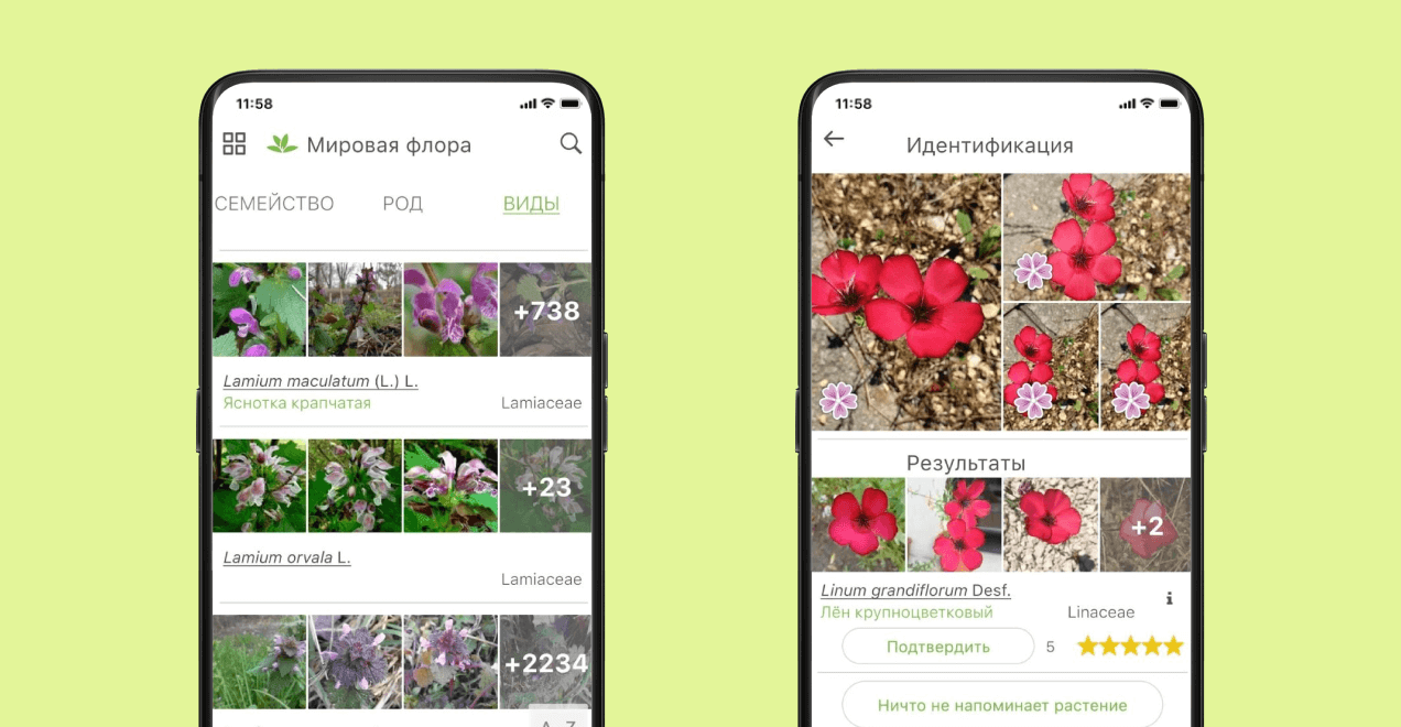 Определитель растений PlantNet