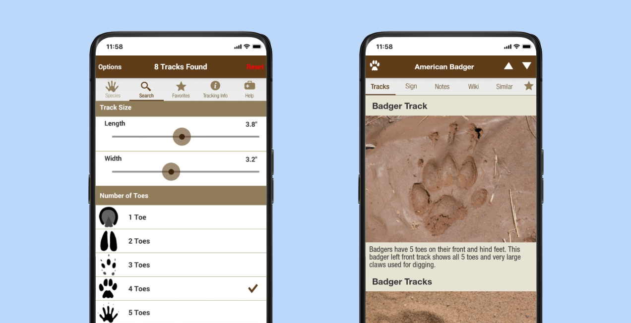 Определитель животных по следам iTrack&nbsp;Wildlife