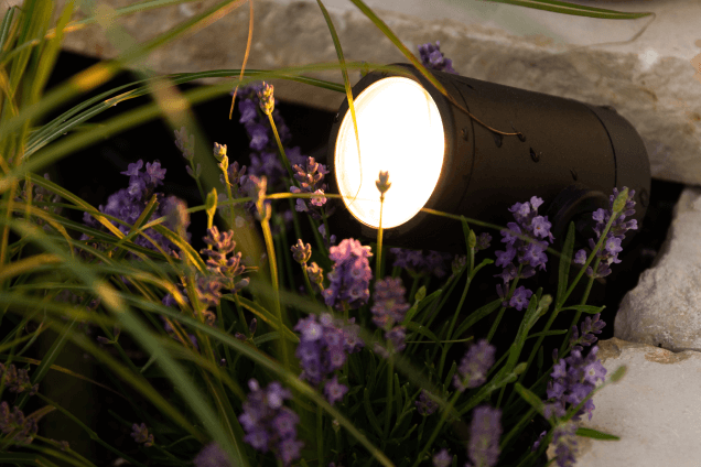 6. Как распределить светильники на участке и направить свет