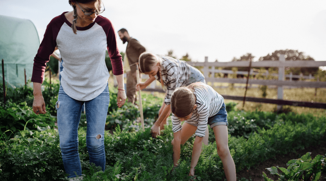 Как бороться с сорняками: 12&nbsp;необычных способов