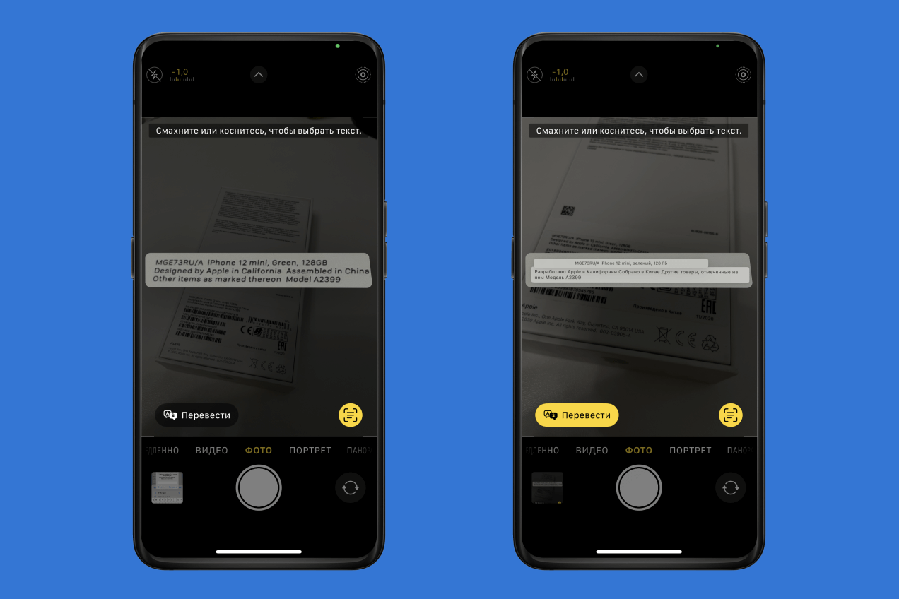 Живой текст и его перевод