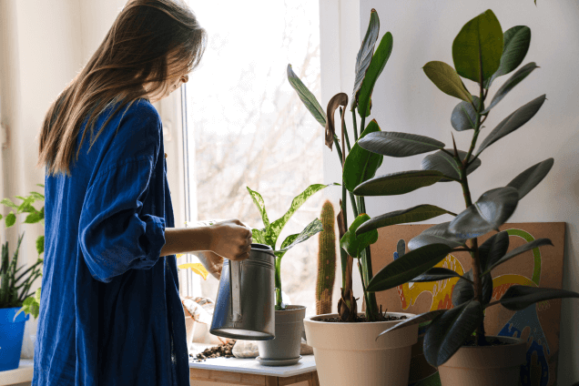 Способ 11. Купите зеленые растения