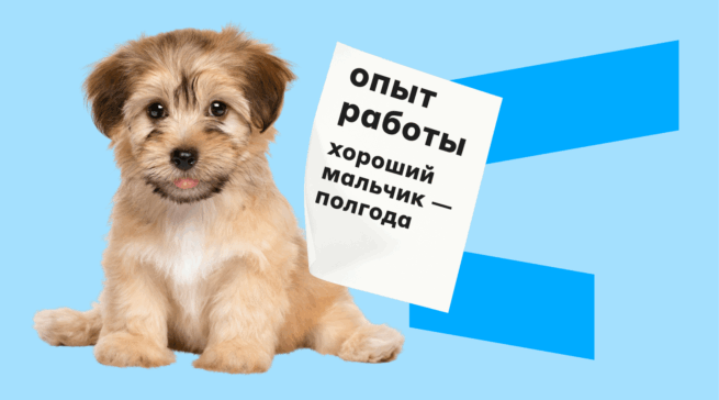 Прибавка к стипендии: где можно подработать студенту