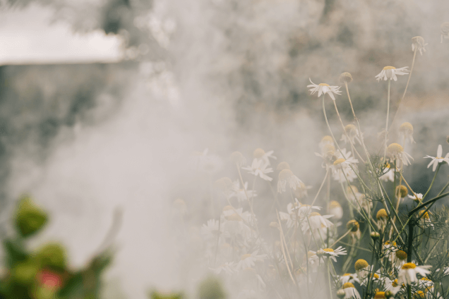 Радикальные способы