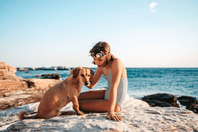 Для путешествий с животными