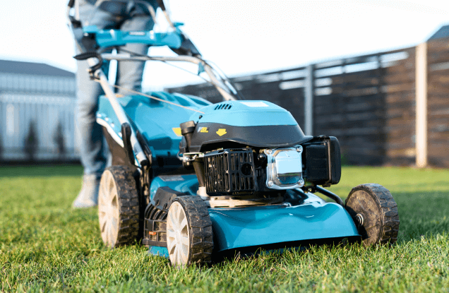 Как избавиться от отдельных сорняков, если вы ничего не выращиваете на участке?