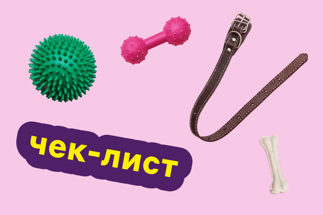 Что взять с собой в&nbsp;дорогу