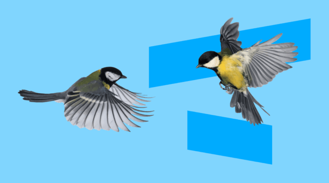 Фотоохота для начинающих