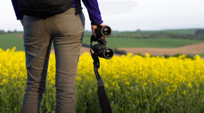 Как выбрать бинокль: советы профессионалов