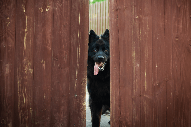 Охранная сигнализация