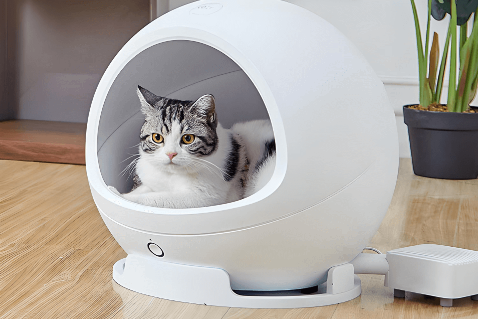 Умный домик или лежанка