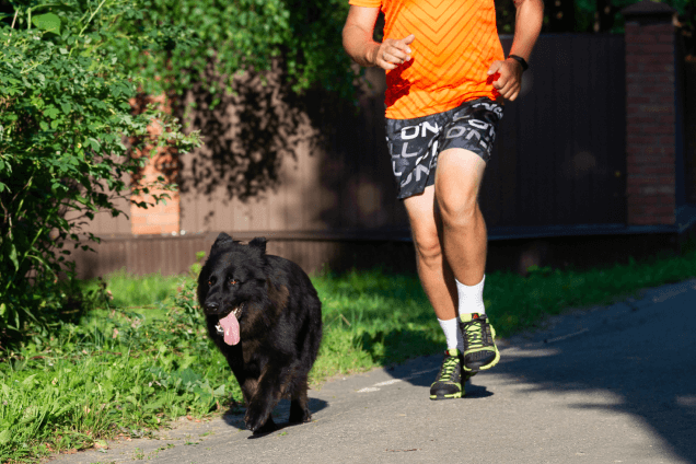 Беговая дорожка