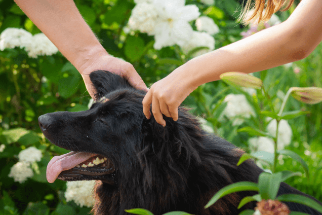 Сервис знакомств