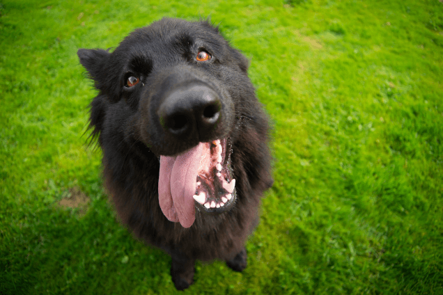 А поговорить?