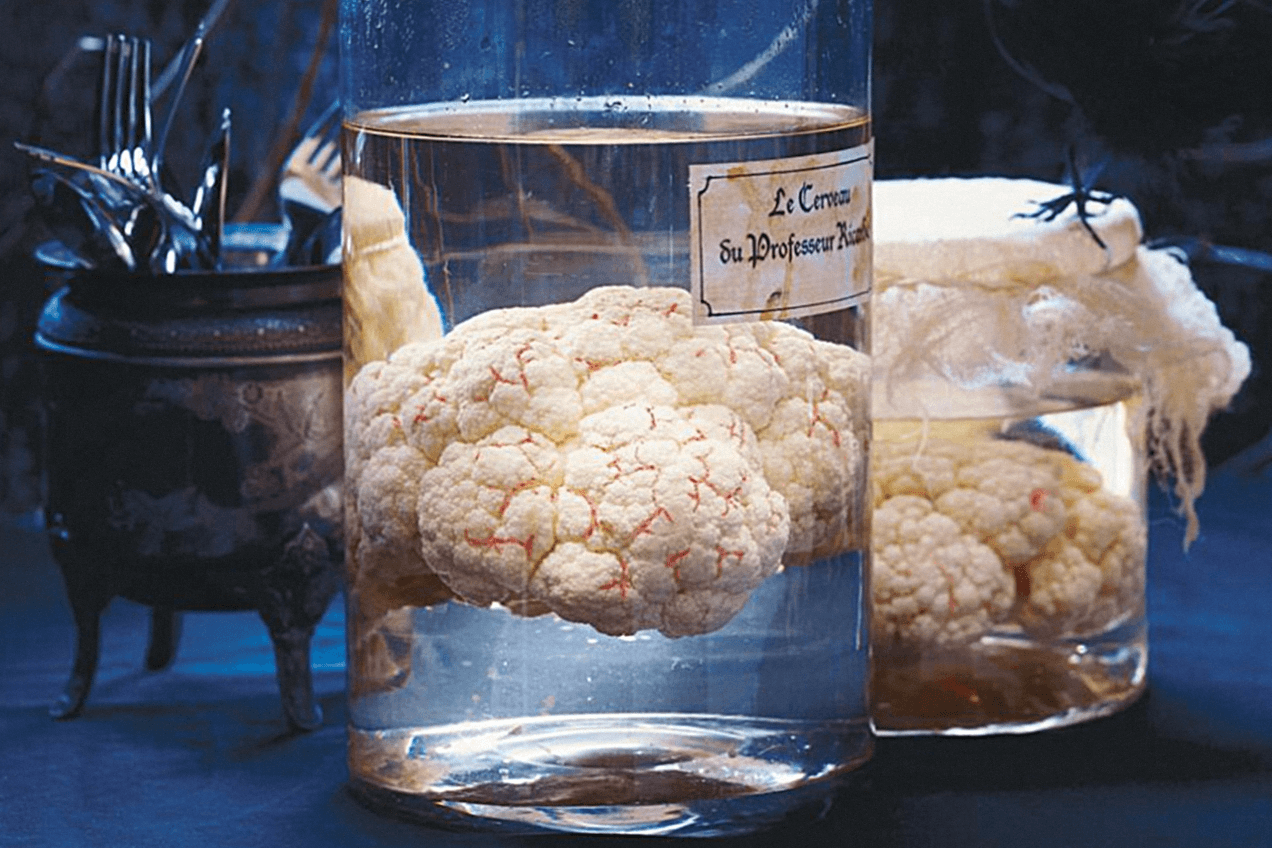 Мозг в банке