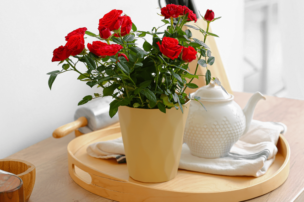 6.	Язык цветов