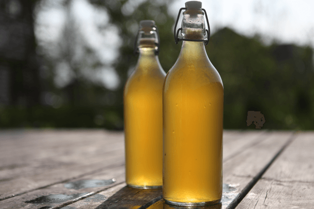 Вино из одуванчиков