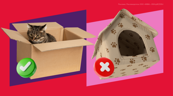 Что такое аскеза и как она работает: отвечают эксперты