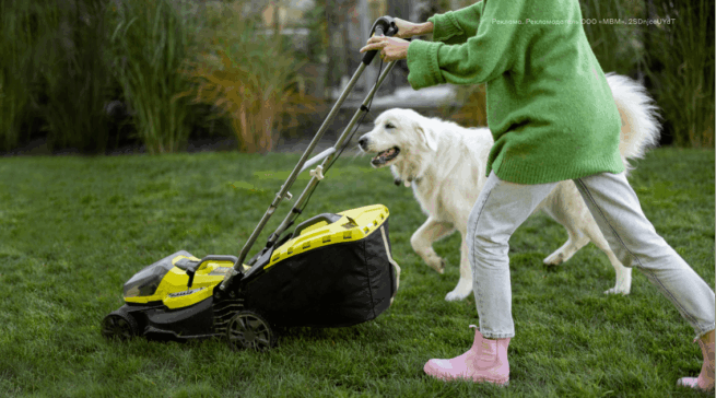 Как выбрать газонокосилку: подробный гид