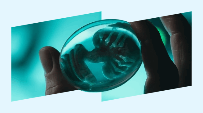 Что известно о сериале «Чужой: Земля»