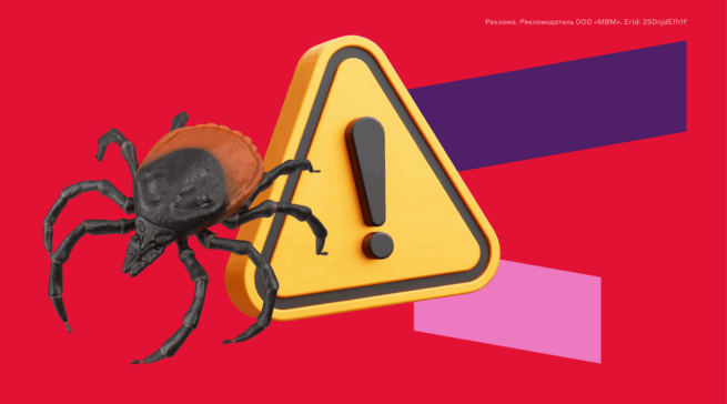 Что делать при укусе клеща: как обезопасить себя, если забыли про прививку?