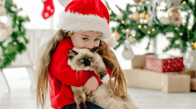 Как украсить на Новый год дом, где живет кот или маленький ребенок