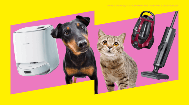 Лучшие пылесосы для сбора шерсти животных